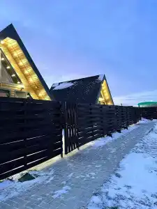 Страусы Биляра - 15