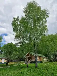 Молодильные сады - 14