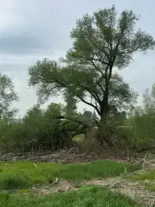 Подворье Масарского - 16