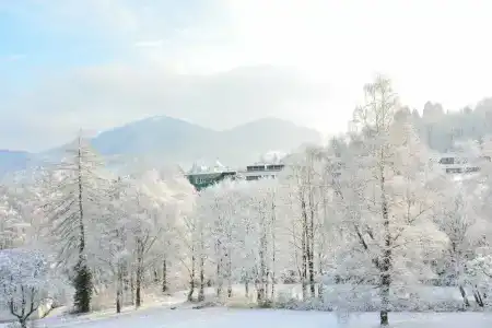 Tannenhof - 24
