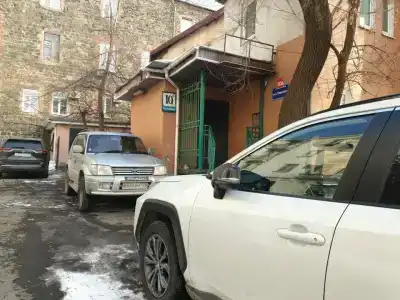 Каштан - 8