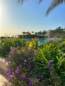 Baron Palace Sahl Hasheesh - 76