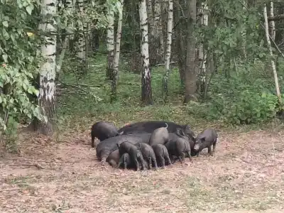 Надеждино - 13