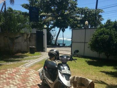 Polhena Sea View - 5