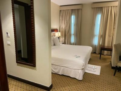 Barceló Cairo Pyramids - 17