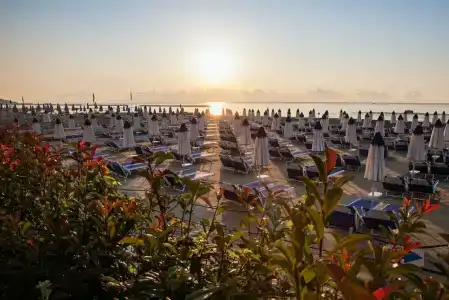 Grand Diana Majestic - 12