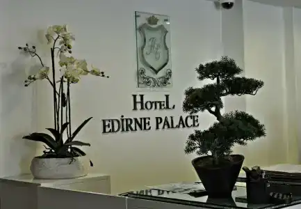 Edirne Palace - 2