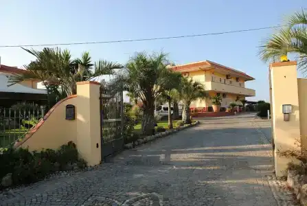 Damanse - 18