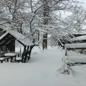 В Дубках - 6