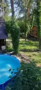 Тихий дворик - 3