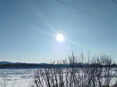 Шарголь - 24