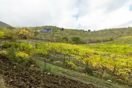 Графит - 10