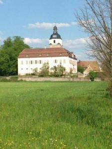 Käferstein garni - 1