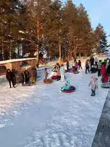 Метальниково Горка - 1