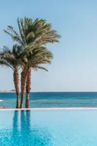 Baron Palace Sahl Hasheesh - 98