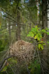 Энергетик - 31