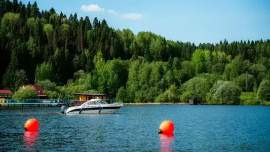 Раздолье - 12