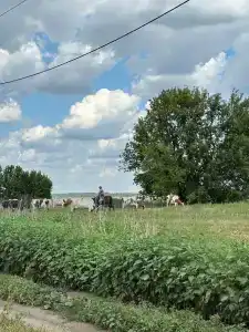 Романов Хутор - 6
