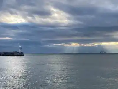 Палас - 12
