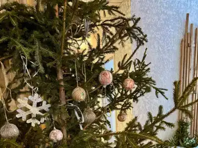 Радуга вкусов - 25