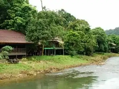 Khao sok river&jungle resort - 13