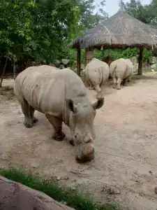 Green World Nha Trang - 8