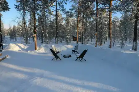 ЛеСъ - 26