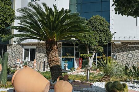 Onkel Rada Apart - 15