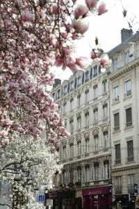 des Celestins - 4