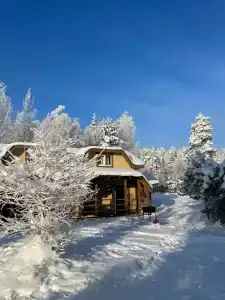 Мичуринский Дворик - 11