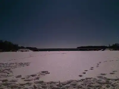 Ковчег - 36