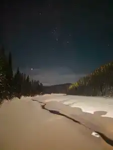 Золотая сова - 1