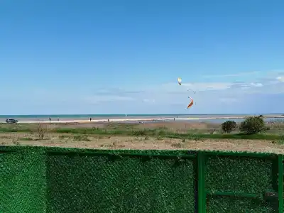 Сумахи - 19