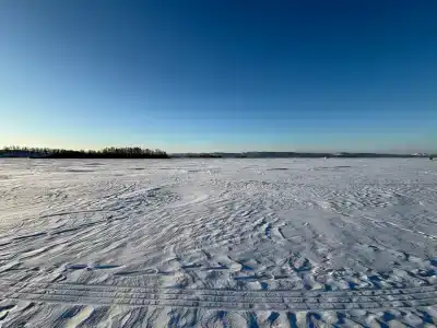 Алоха - 29