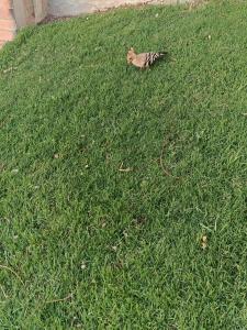 Jaz Fanara Residence - 24