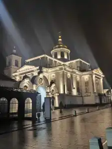 Сальников - 14
