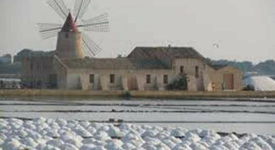 La Mimosa Case Vacanze - 3