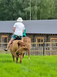 Надеждино - 46