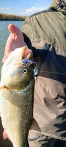 Fishing Club Ltd - 21