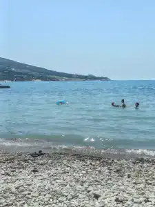 Pavlos - 4