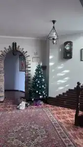 Арго - 3