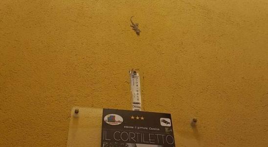 Il Cortiletto - 7