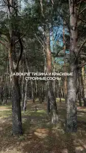 Медвежий Угол - 36