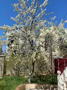 Профессорский уют - 9