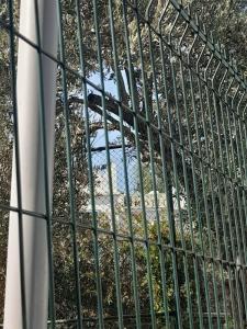 Artunc Bodrum - 7