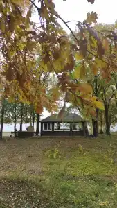 Металлист - 38