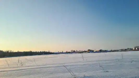 Золотой Полоз - 34