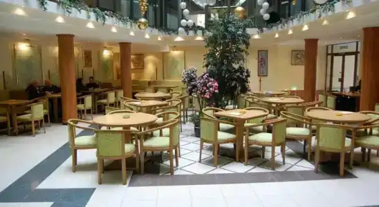 Complex Brashlyan - 15