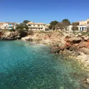 Pinomar - 4