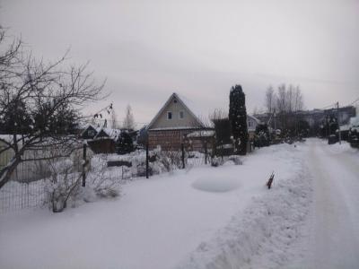 Лесник - 2